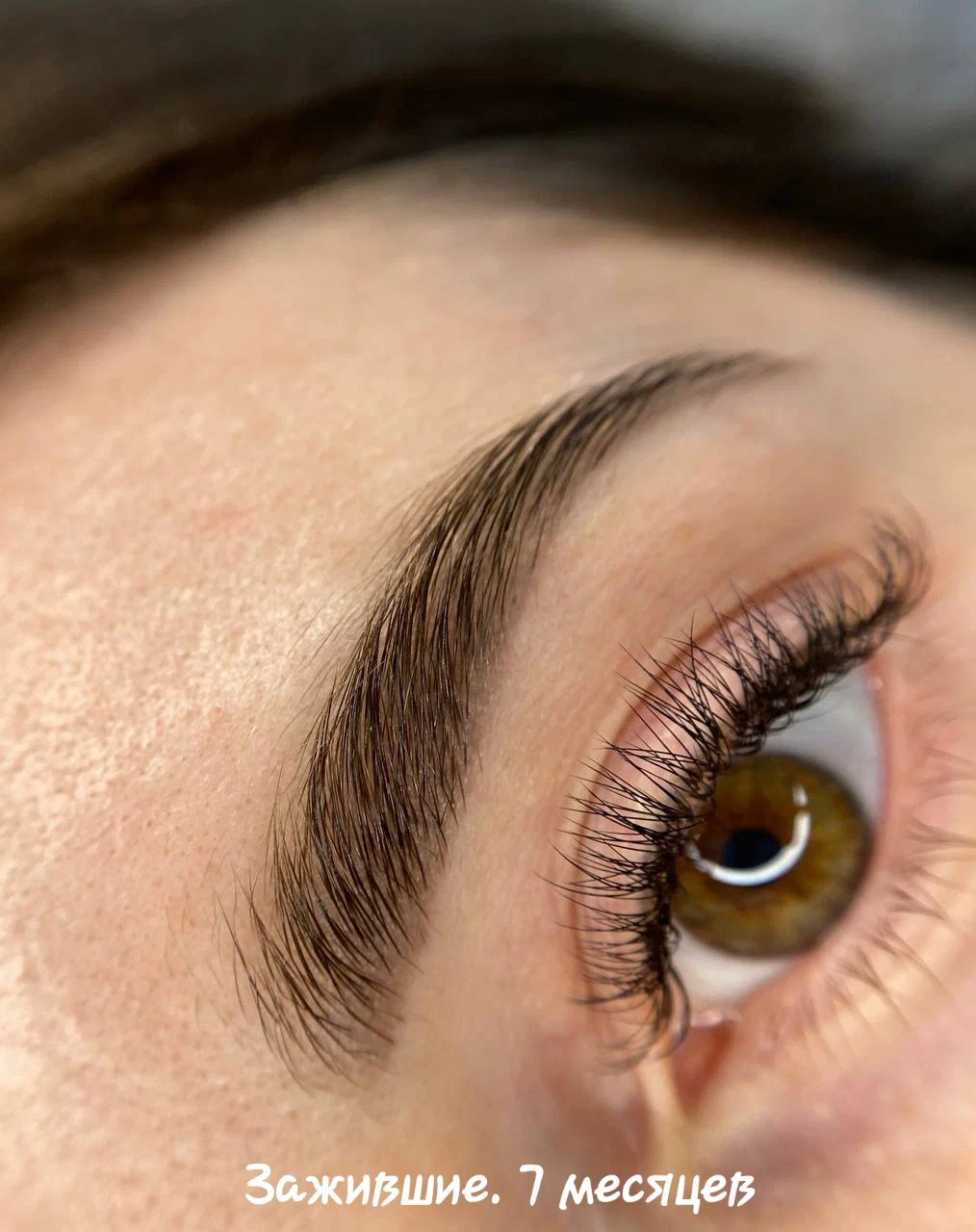 Фото перманентного макияжа Diploma (5)